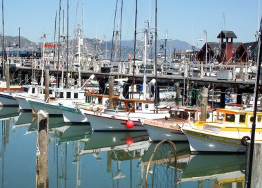 Balıkçılık Tekne fisherman wharf, san francisco, ca