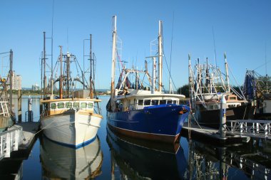 dock, balıkçı tekneleri