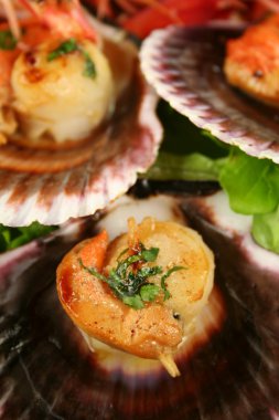 Pan Fried Scallops clipart