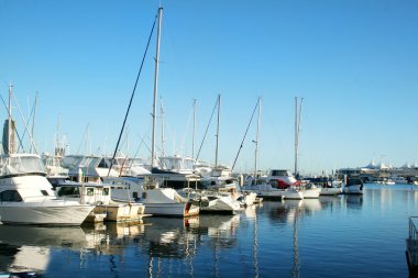 Southport Marina Gold Coast clipart