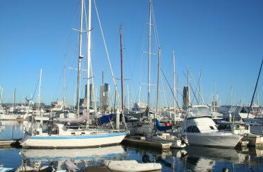 Yachts At Southport Marina Gold Coast clipart