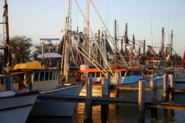 gün batımında balıkçı tekneleri