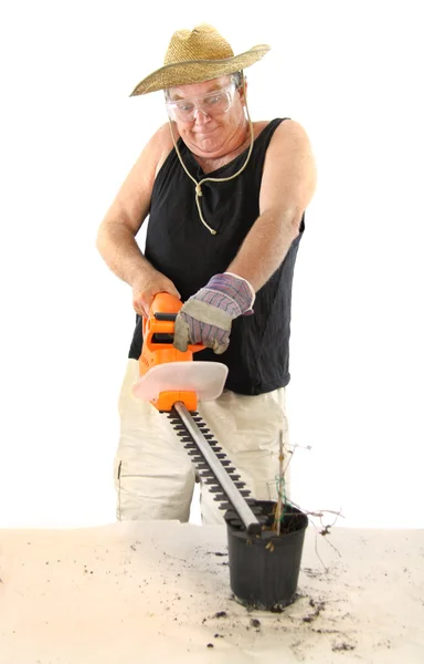 Gardener With Hedge Trimmer — Stock Photo, Image