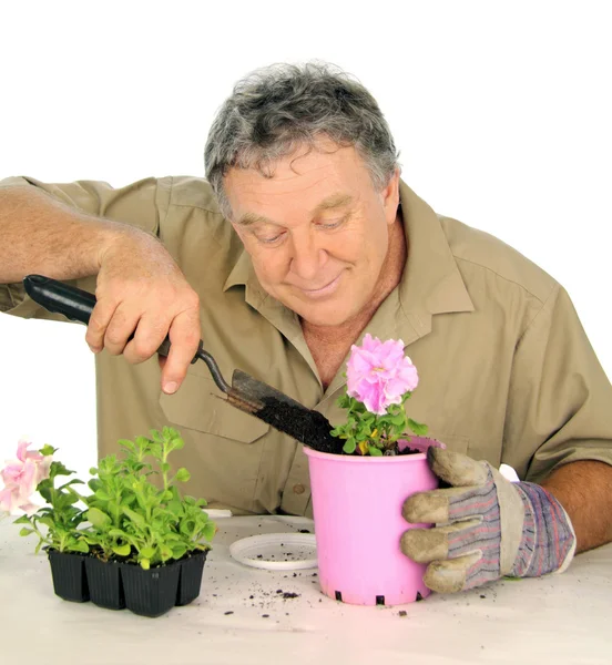 stock image Nurseryman Plants Seedlings