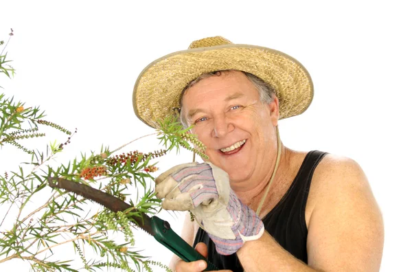 Sawing Gardener — Stock Photo, Image