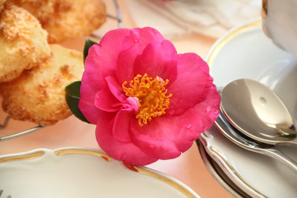 Camellia With Food — Stock Photo, Image