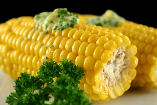 Fresh Corn 4 — Stock Photo, Image