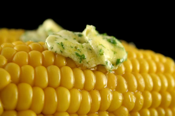 Świeża kukurydza 5 — Zdjęcie stockowe