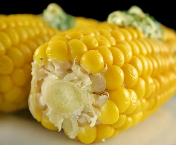 Fresh Corn 7 — Stock Photo, Image
