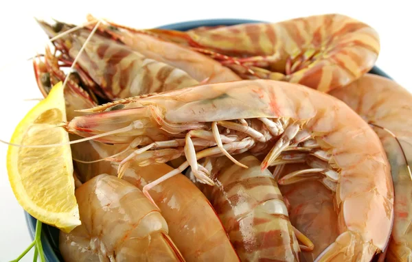 Fresh Green Shrimps — Stock Photo, Image