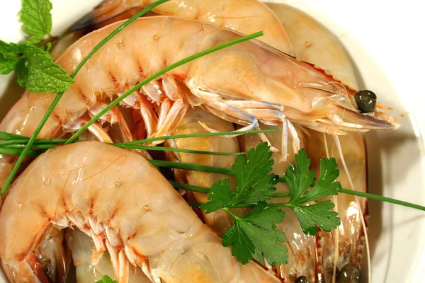Fresh Shrimps 3 — Stock Photo, Image