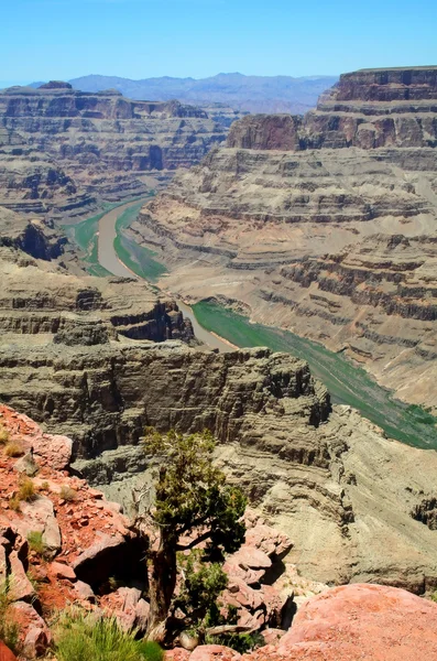 Grand Canyon nyugati peremén Arizona — Stock Fotó