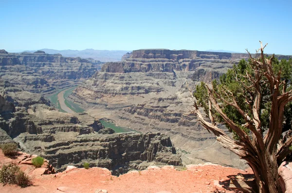 Grand Canyon nyugati perem — Stock Fotó