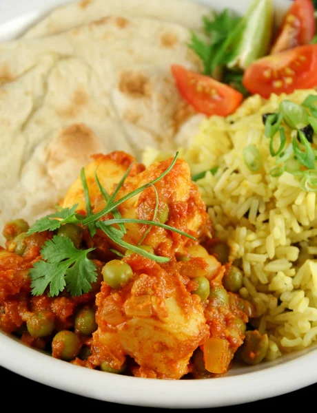 stock image Indian Vegetarian 2