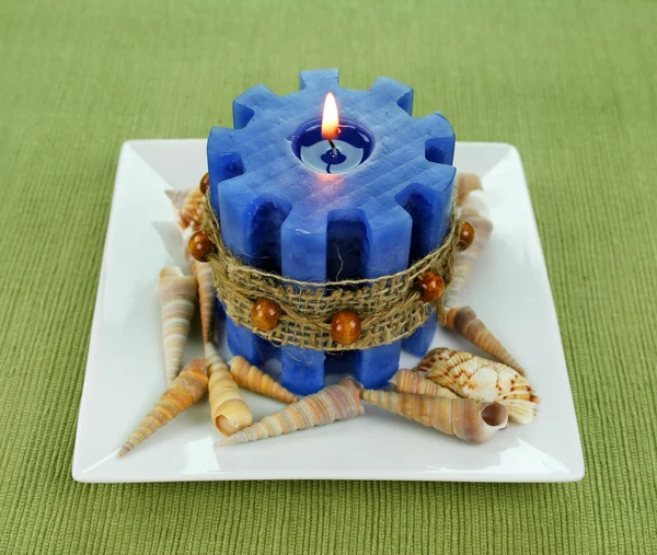Mořské svíčka — Stock fotografie