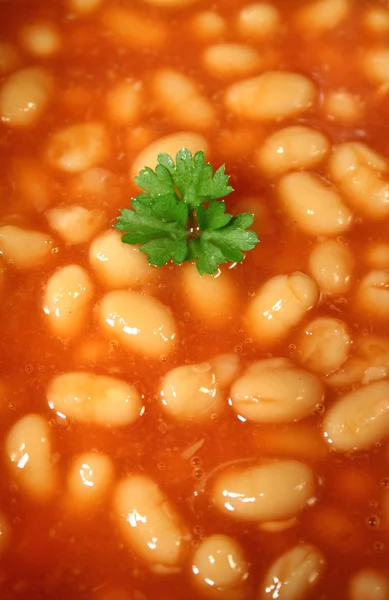 Parsley In A Sea Of Baked Beans — Stock Photo, Image