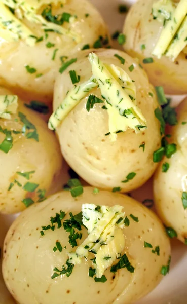 Patates ve maydanoz ezmesi — Stok fotoğraf
