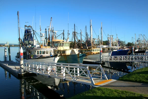 Krevety a rybářského loďstva v doku — Stock fotografie