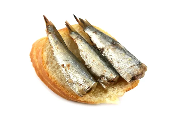 Sardinen auf Brot — Stockfoto
