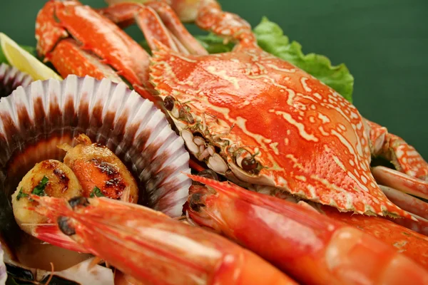 Страви з морепродуктів — стокове фото