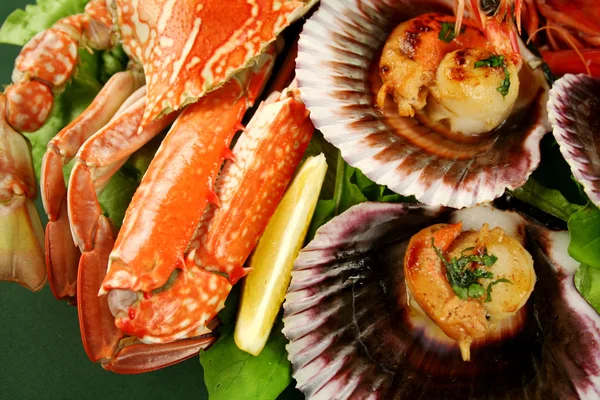 Crab And Scallops — Stock Photo, Image