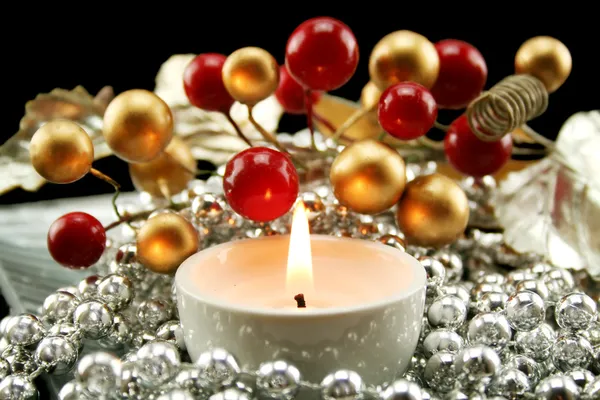 Stříbrné Vánoční dekorace s plody — Stock fotografie