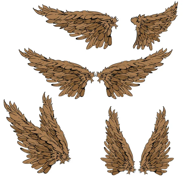 Vleugels set van vier — Stockvector