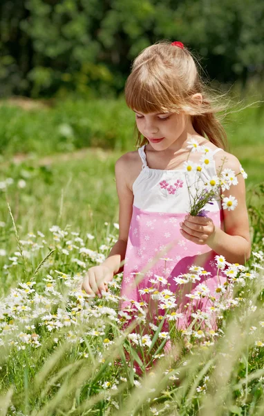 The girl is standing in the green grass — Stock Photo, Image