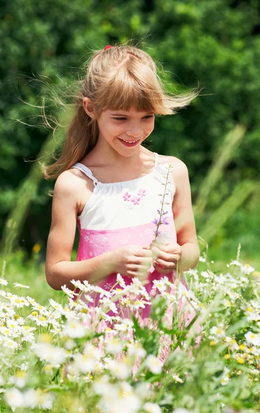 The little girl is standing in the meadow — Stock Photo, Image