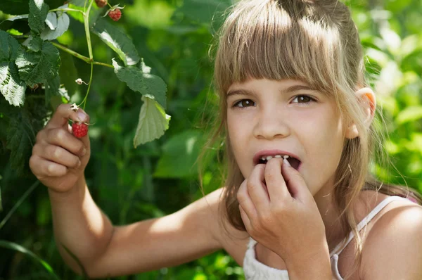 The girl is eattig a raspberry — Stock Photo, Image