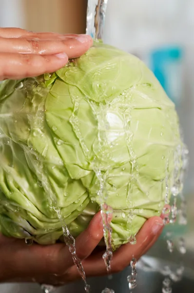 The cabbage was washing in the water — Stock Photo, Image