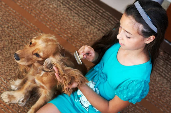 The girl is combing the dog — Stock Photo, Image