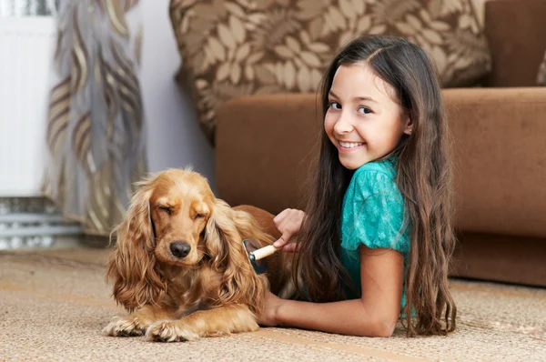 A rapariga está a pentear o cão. — Fotografia de Stock