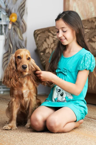 A rapariga está a pentear o cão. — Fotografia de Stock