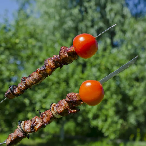 stock image Grilled shashlik kebab and tomato