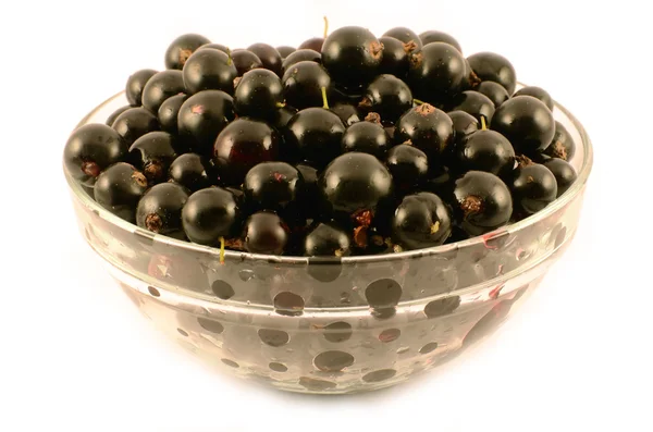 Bogyós gyümölcsök, fekete ribizli, bogyók — Stock Fotó