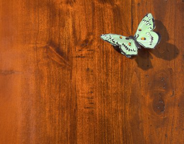 Silk Butterfly on Wood clipart