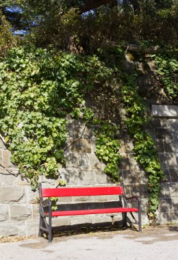 Red Bench