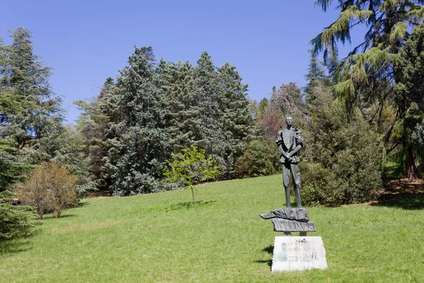 Statue in the Park — Stock Photo, Image