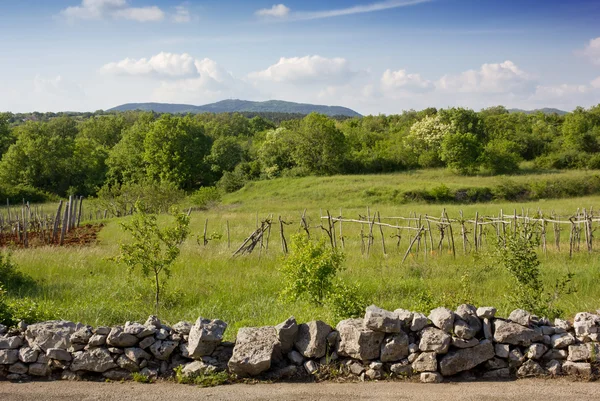 Campo verde detrás de una valla de piedra —  Fotos de Stock