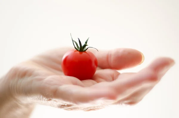 Tomate de cereza en mano de mujer — Foto de Stock