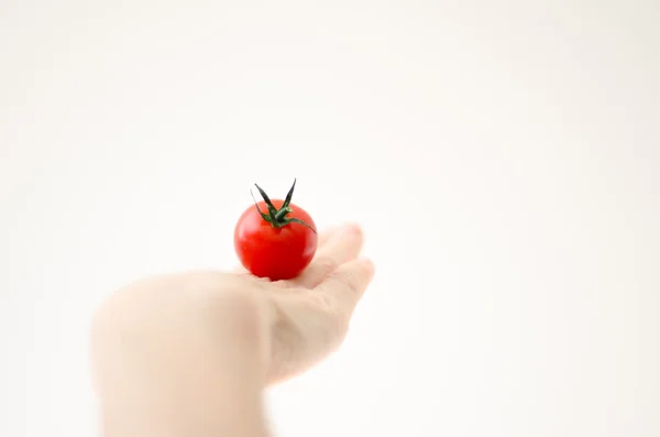 Cherry Tomatoe on Womans Hand — Stock Photo, Image