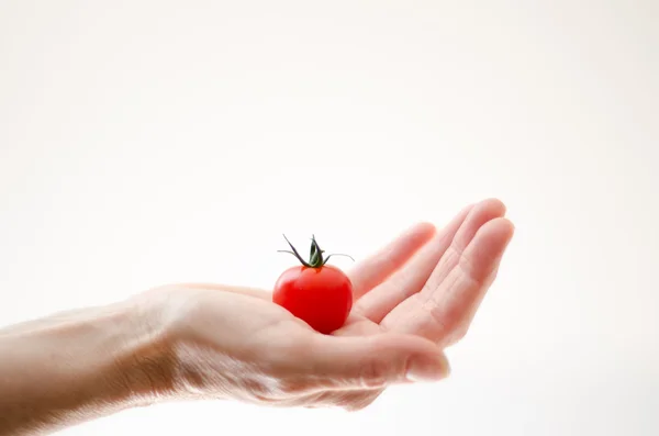 Tomate de cereza en mano de mujer — Foto de Stock