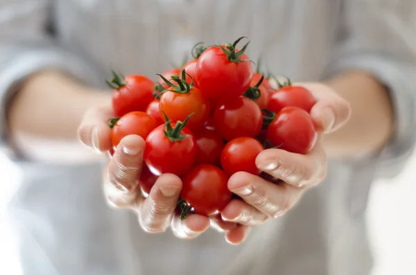 Wiśniowe pomidory w womans ręce — Zdjęcie stockowe