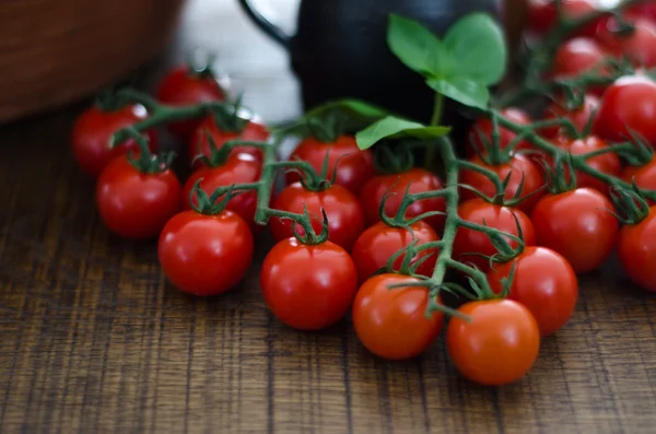 Wiśniowe pomidory na łodygi — Zdjęcie stockowe
