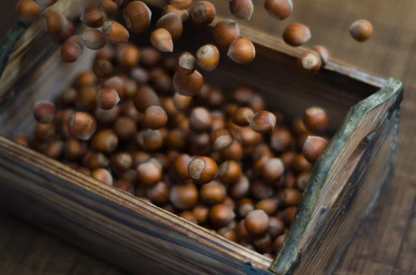 Lískové ořechy v pohybu naskakují do dřevěné krabice — Stock fotografie