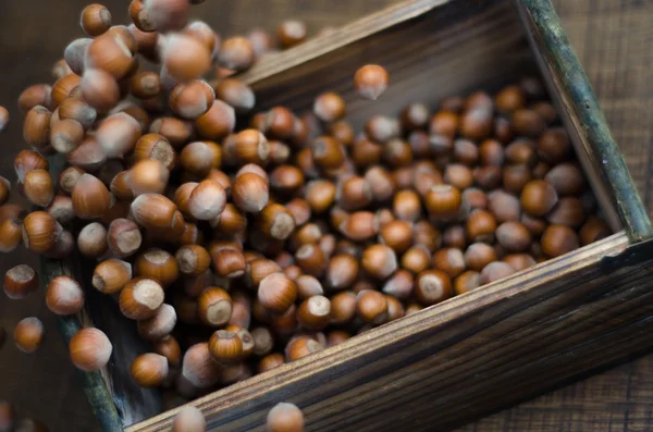 Lískové ořechy v pohybu naskakují do dřevěné krabice — Stock fotografie