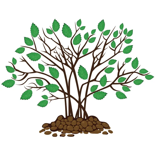 Bush con hojas en el suelo, ilustración vectorial — Vector de stock