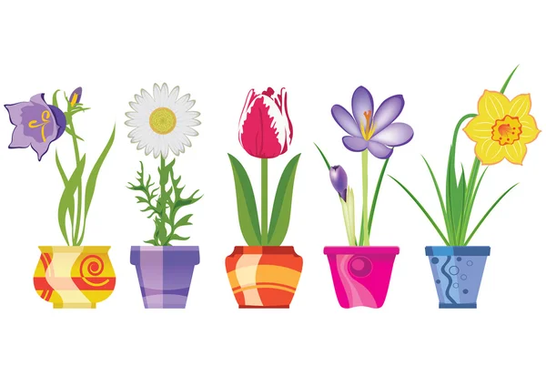 Spring Flowers In Pots, Isolated On White Background, Vector Ill — Stock Vector