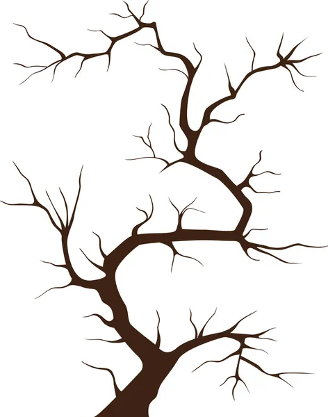Tree without leaves, decor, vector illustration — Stock Vector